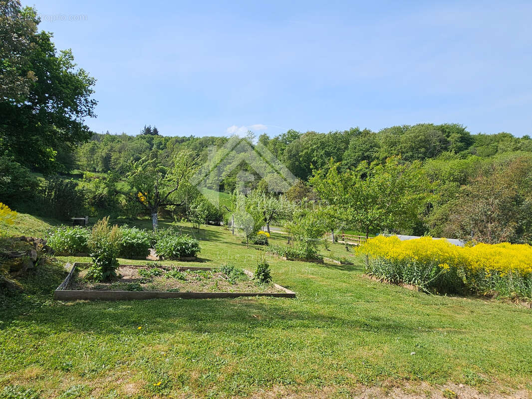 Au coeur de la Montagne Bourbonnaise - photo 3