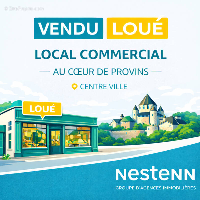 Commerce à PROVINS