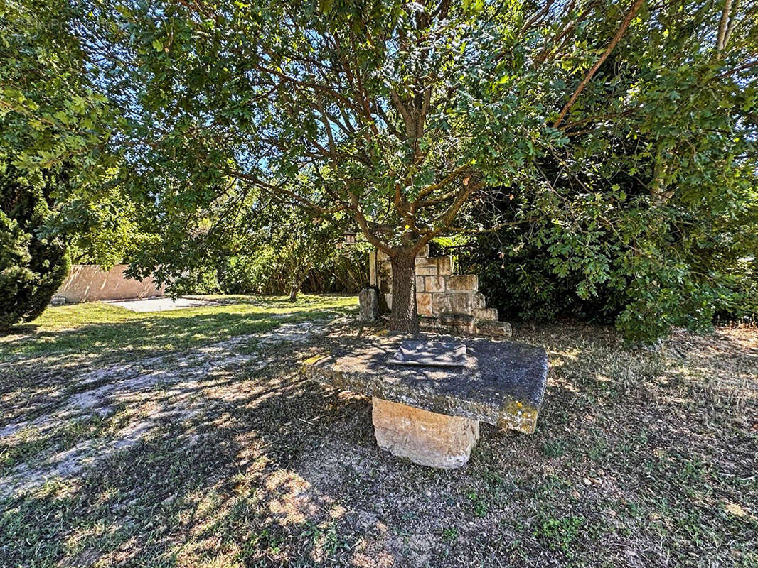 Maison de caractère avec gîte indépendant, piscine, garage et 5 000 m² à vendre à Moulès - photo 5