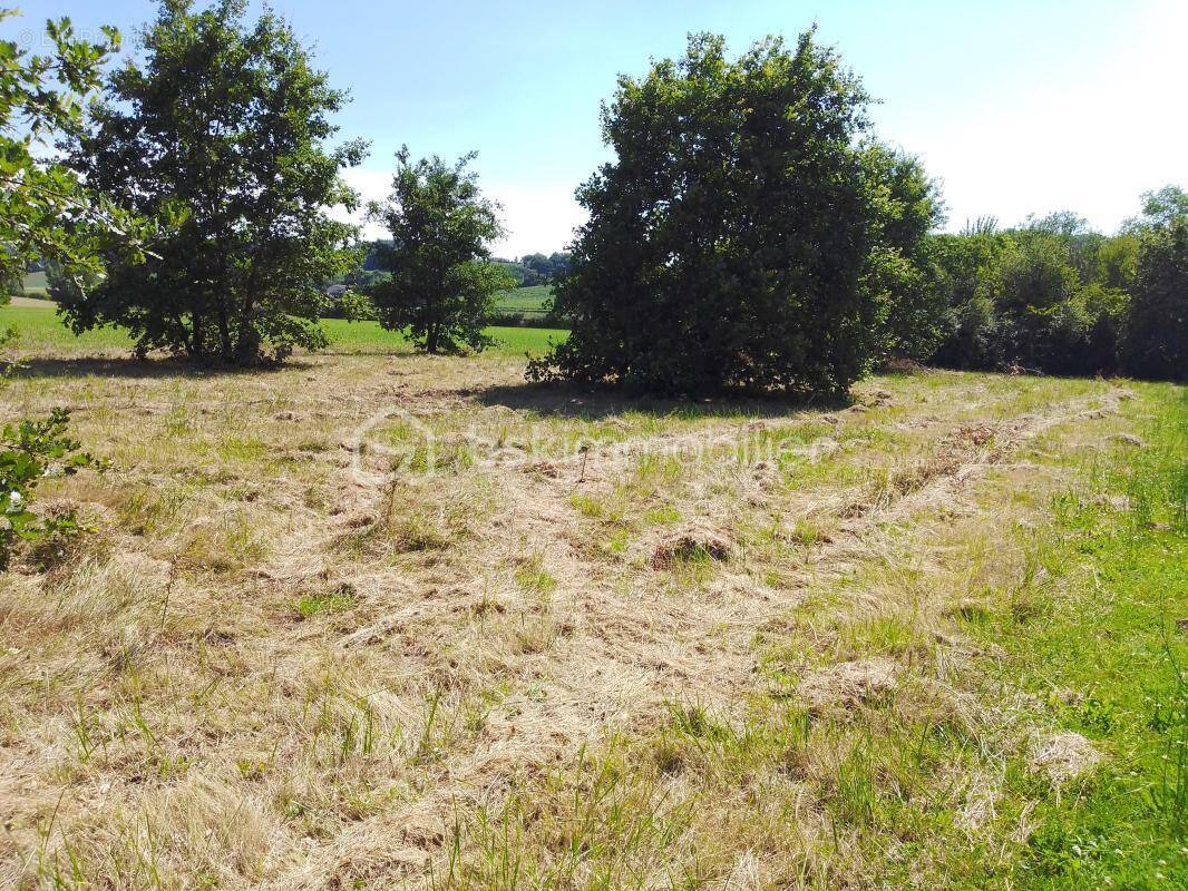 Terrain à DAMAZAN