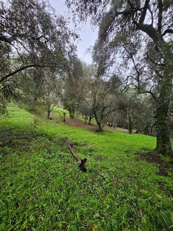 Maison à BERRE-LES-ALPES