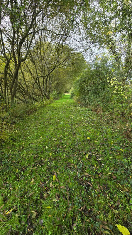 Terrain à SAINT-LEONARD-DES-BOIS