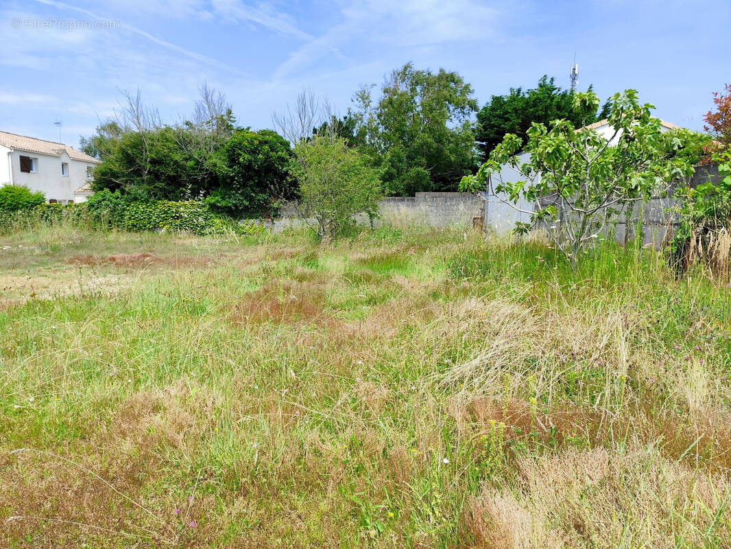 Terrain à PREFAILLES