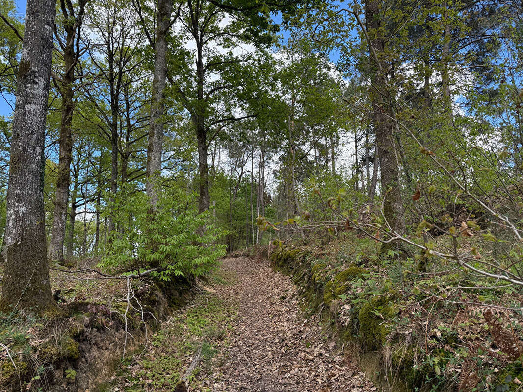 Terrain à LE MANS