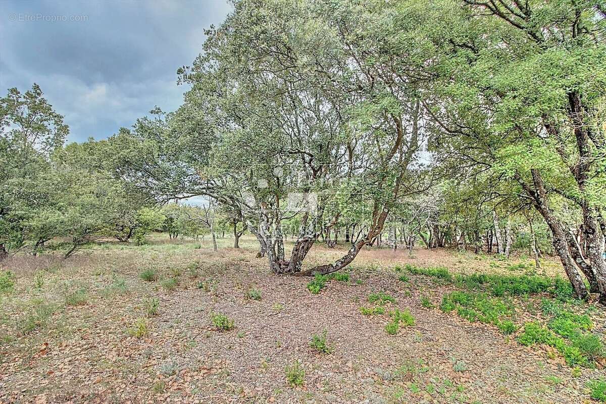 Maison à BAUDINARD-SUR-VERDON