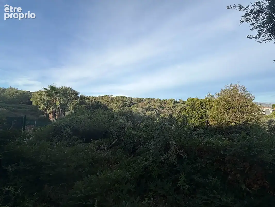 Cannes - croix-des-gardes  propriété à fort potentiel sur 3 920 m² - photo 8