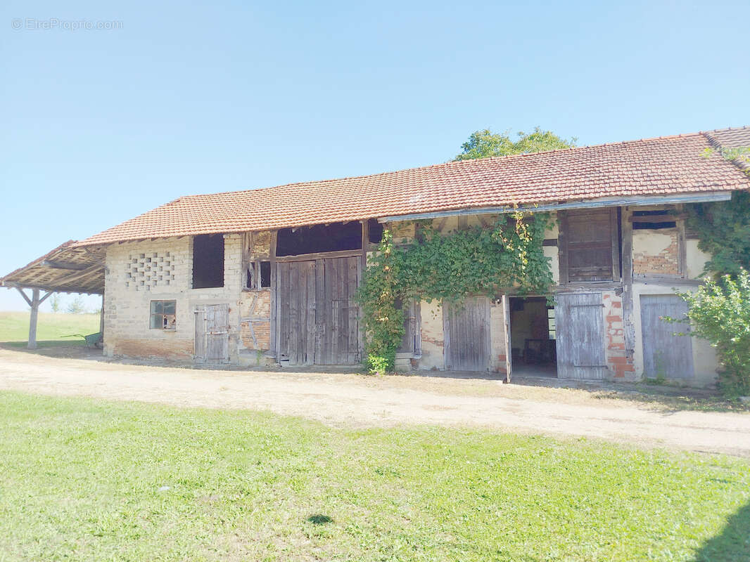 Maison à MONTREVEL-EN-BRESSE