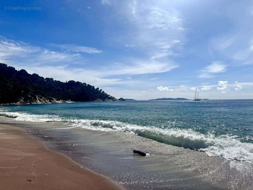 Maison à LE LAVANDOU