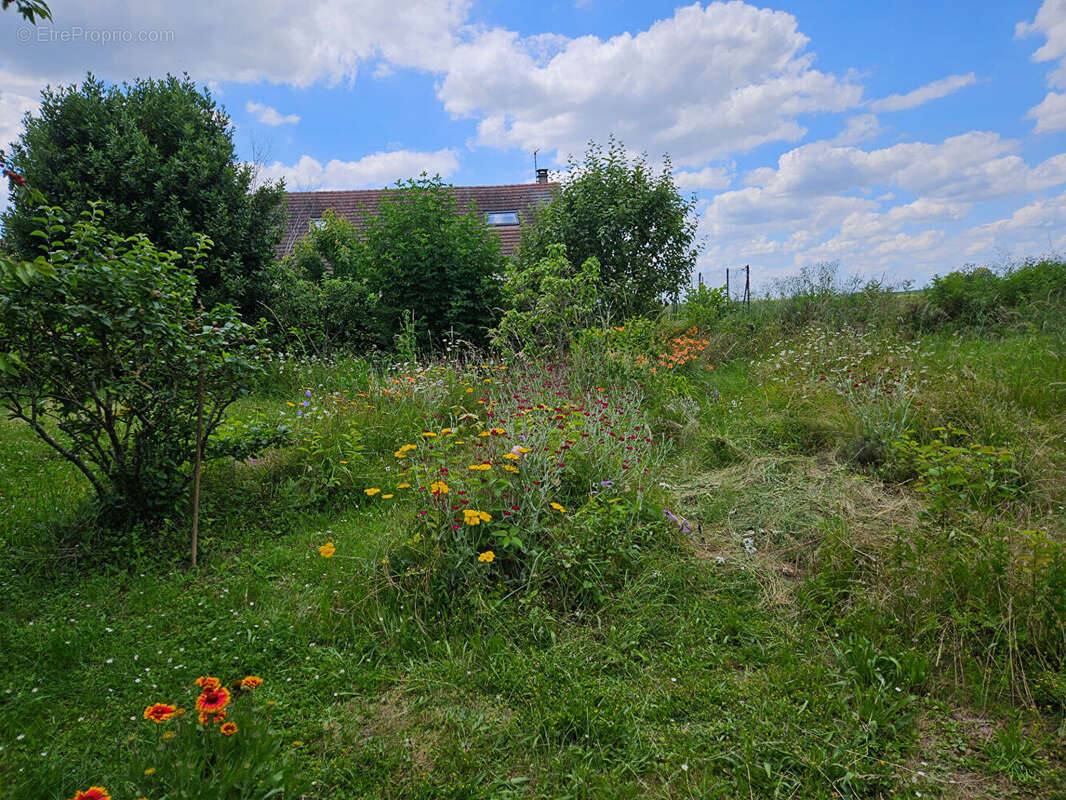Maison à MONTAINVILLE