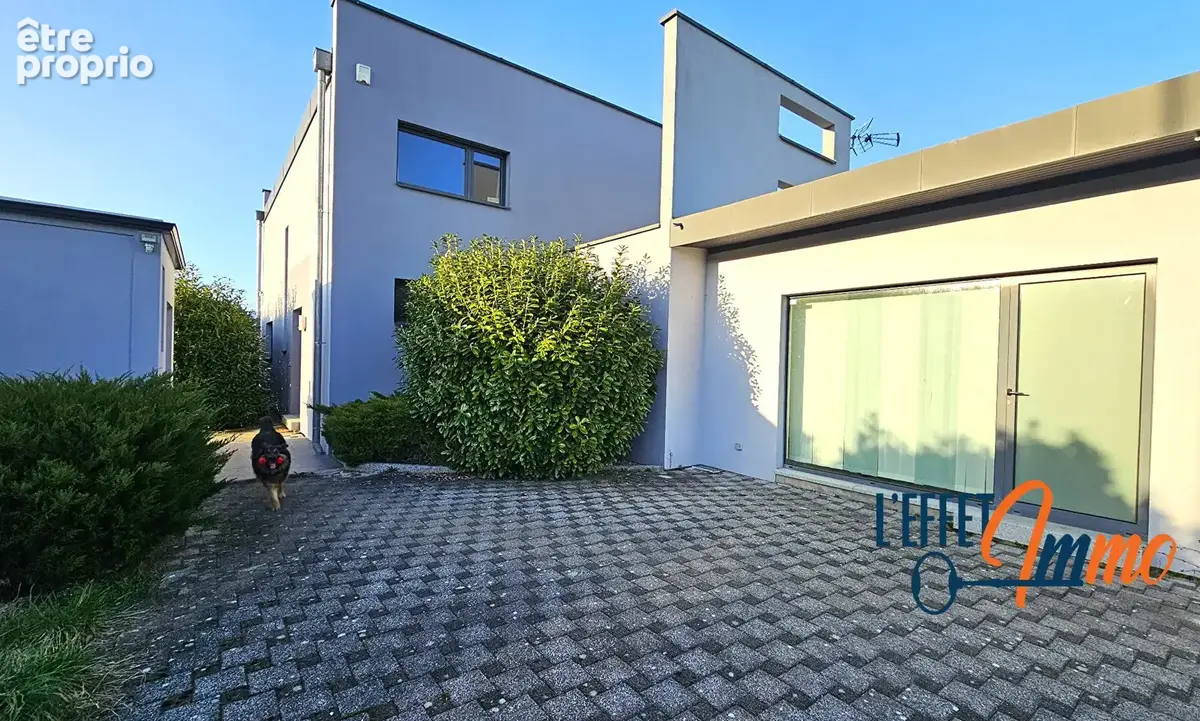 Maison Masevaux Niederbruck 6 pièces 146 m2 - photo 11