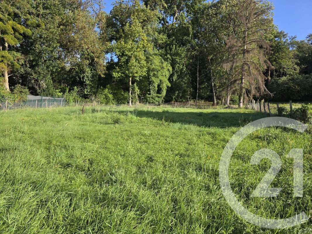 Terrain 437 m² à Montge-En-Goele  - photo 3