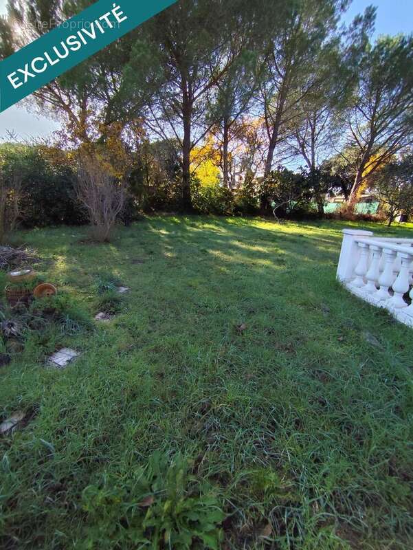 Photo 3 - Maison à VIDAUBAN