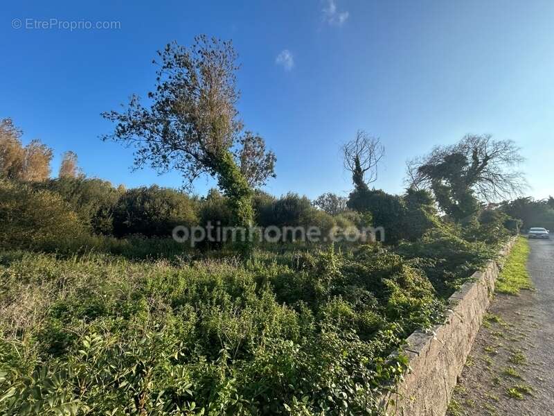 Terrain à SAINT-GEORGES-D&#039;OLERON