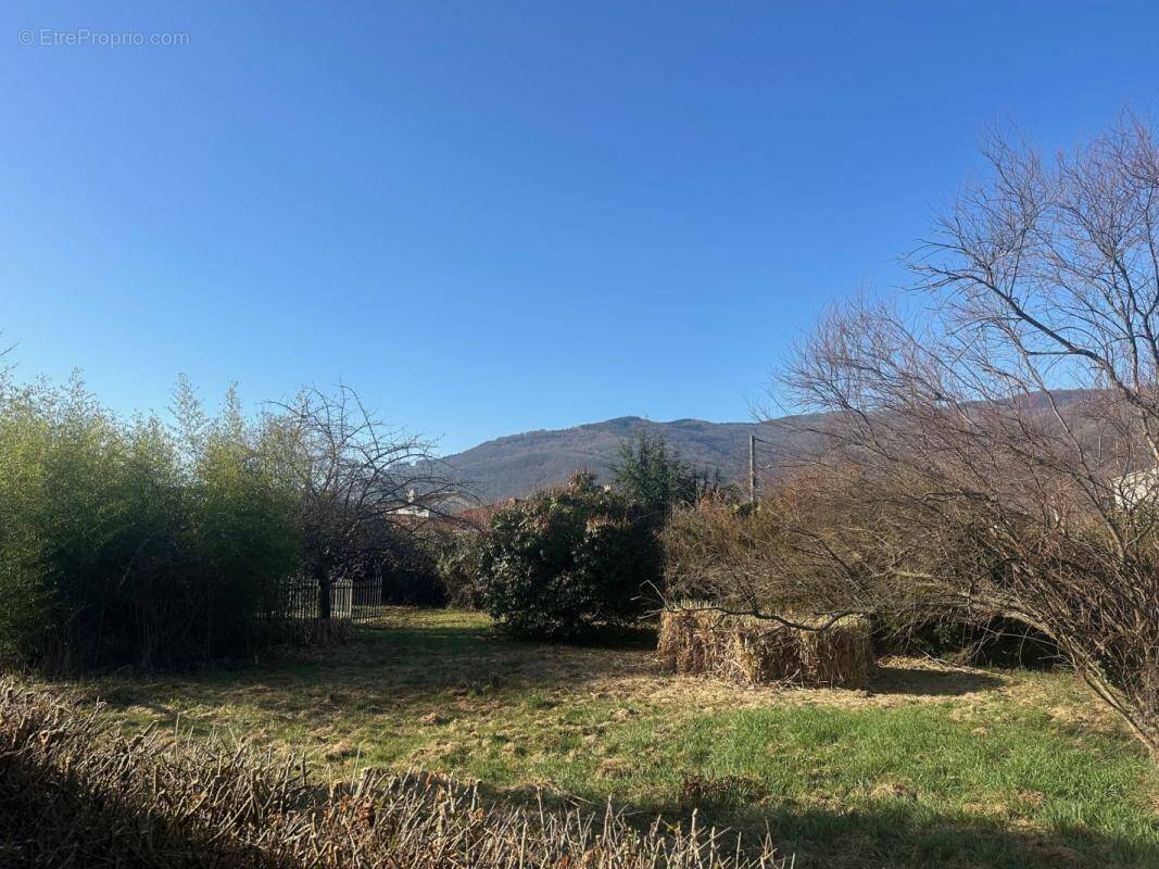 Terrain à MONTGAILLARD