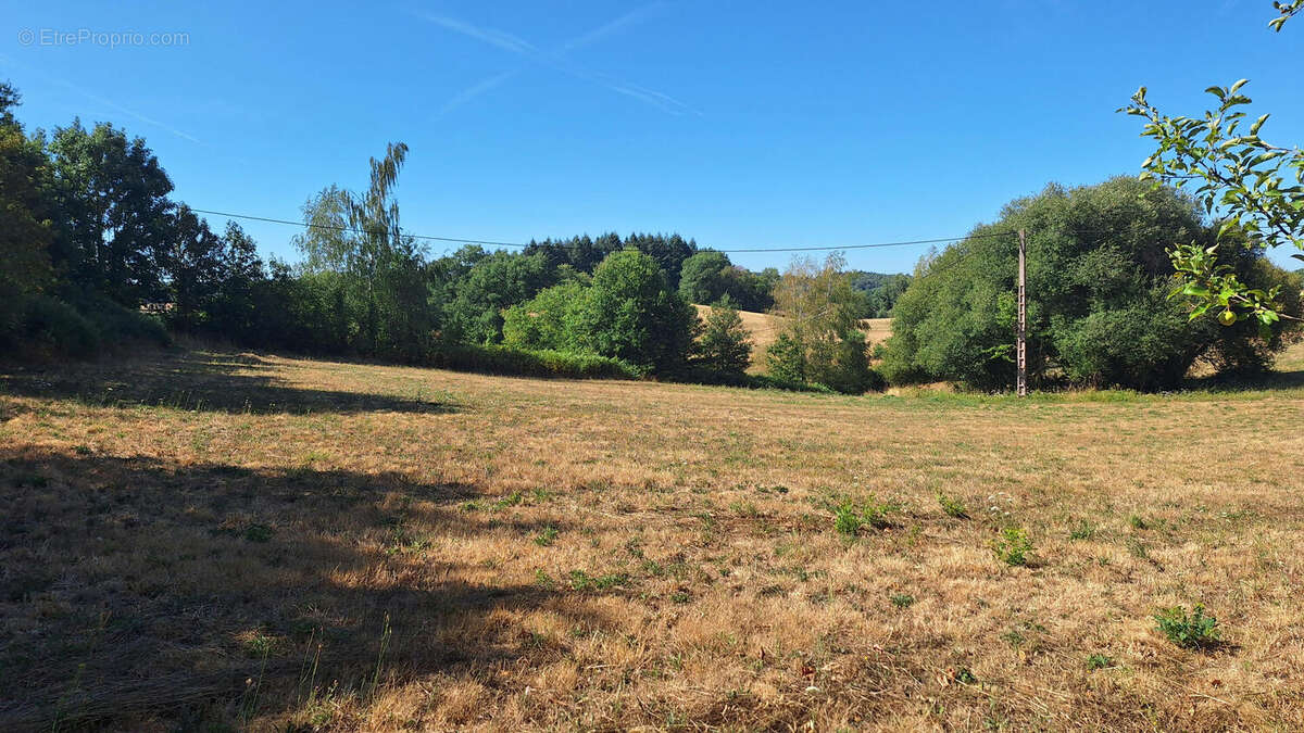Plain-pied de 2011 - photo 15
