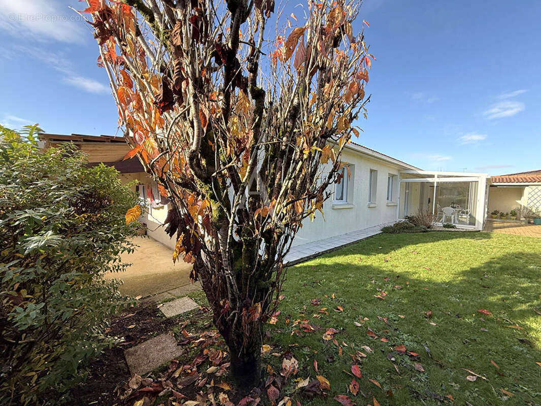 Maison à LA MOTHE-ACHARD