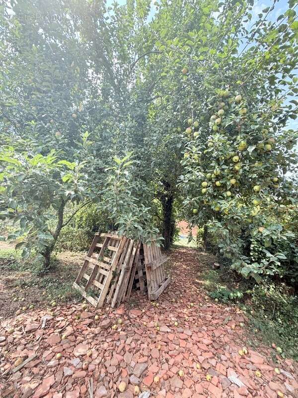 Longère en pierre 90m², sur terrain de 2379m² 69 990 € - photo 39