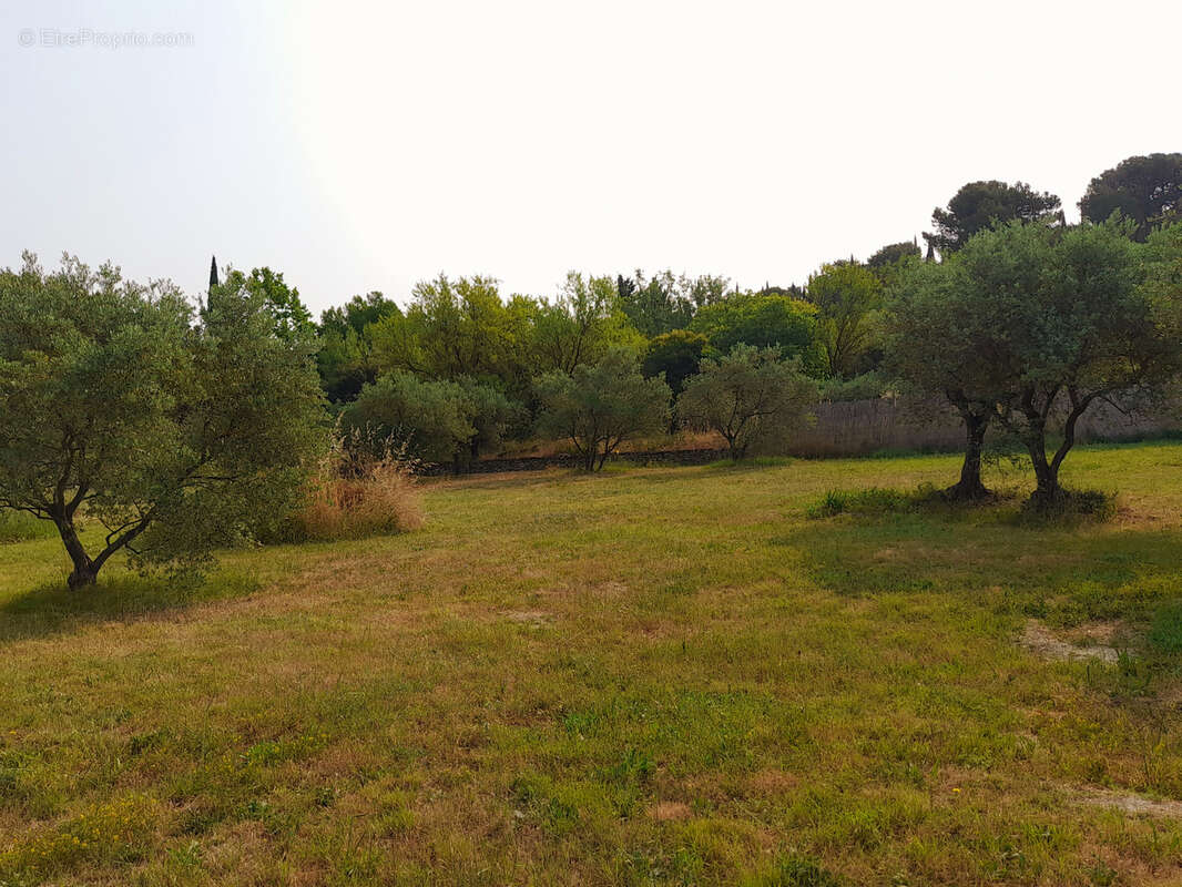 Terrain constructible - photo 4