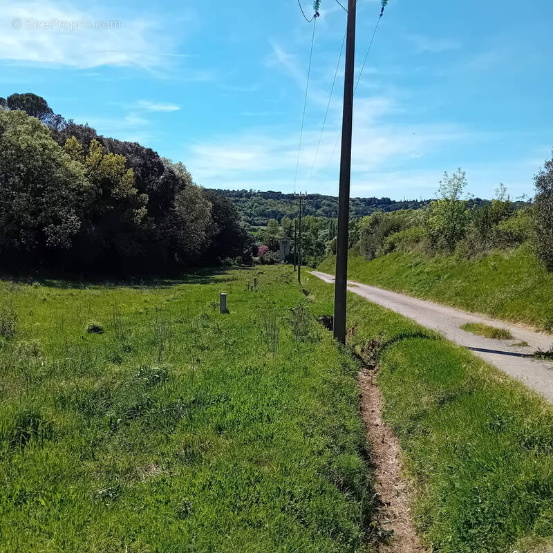 Terrain à MONTOLIEU