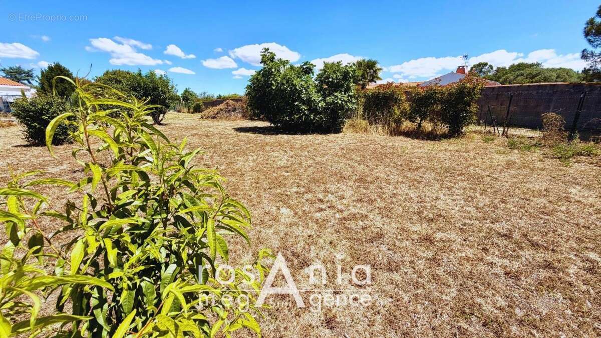 Terrain 1067 m² 85340 les sables d’olonne - photo 3