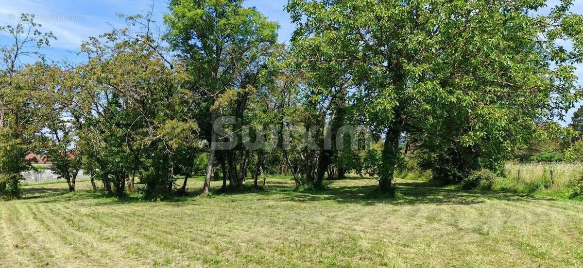 Terrain à CHAMPVANS