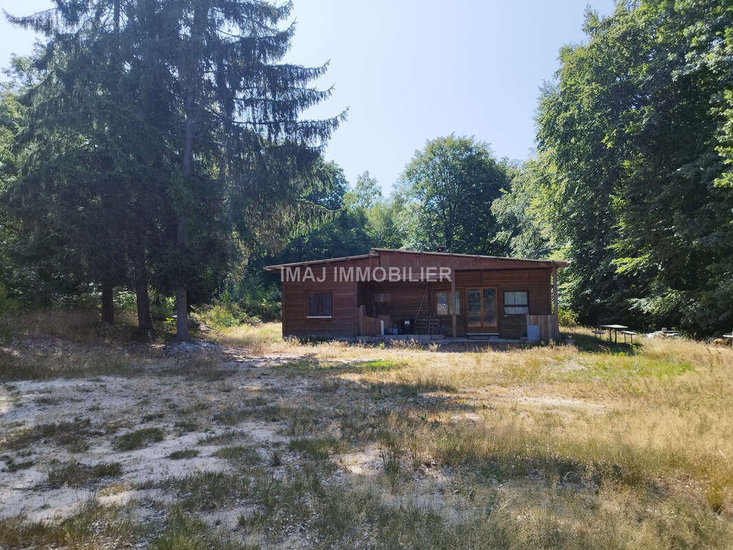 Terrain de loisir boise de 7000 m2 - proche epinal - avec chalet de loisir a renover - photo 2