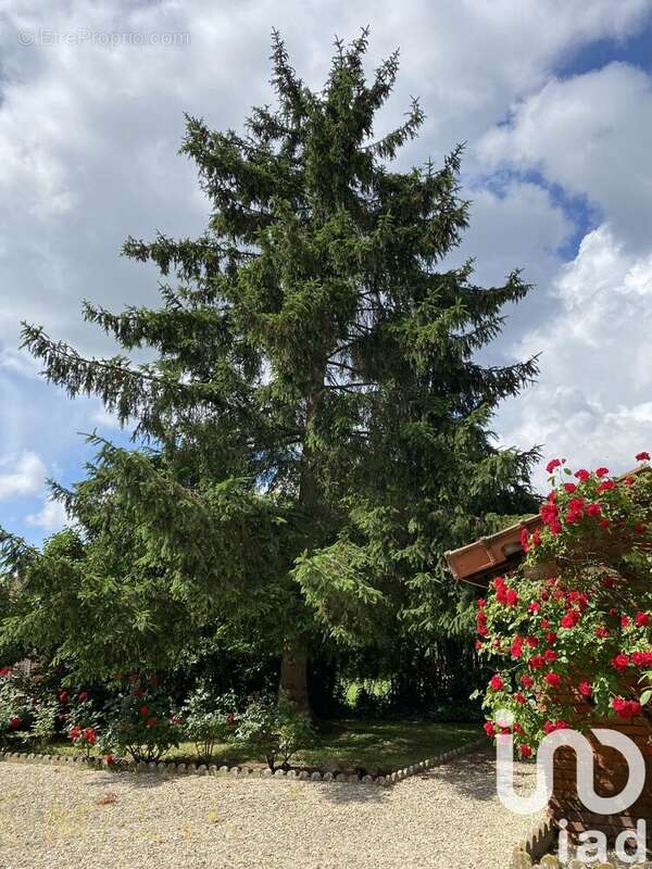 Photo 2 - Maison à PARGNY-SUR-SAULX