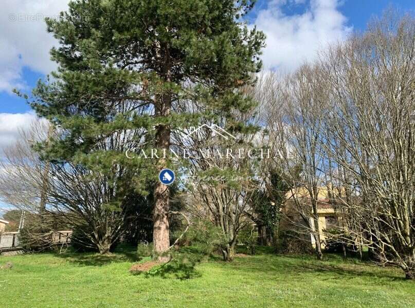 Terrain à TOURNEFEUILLE