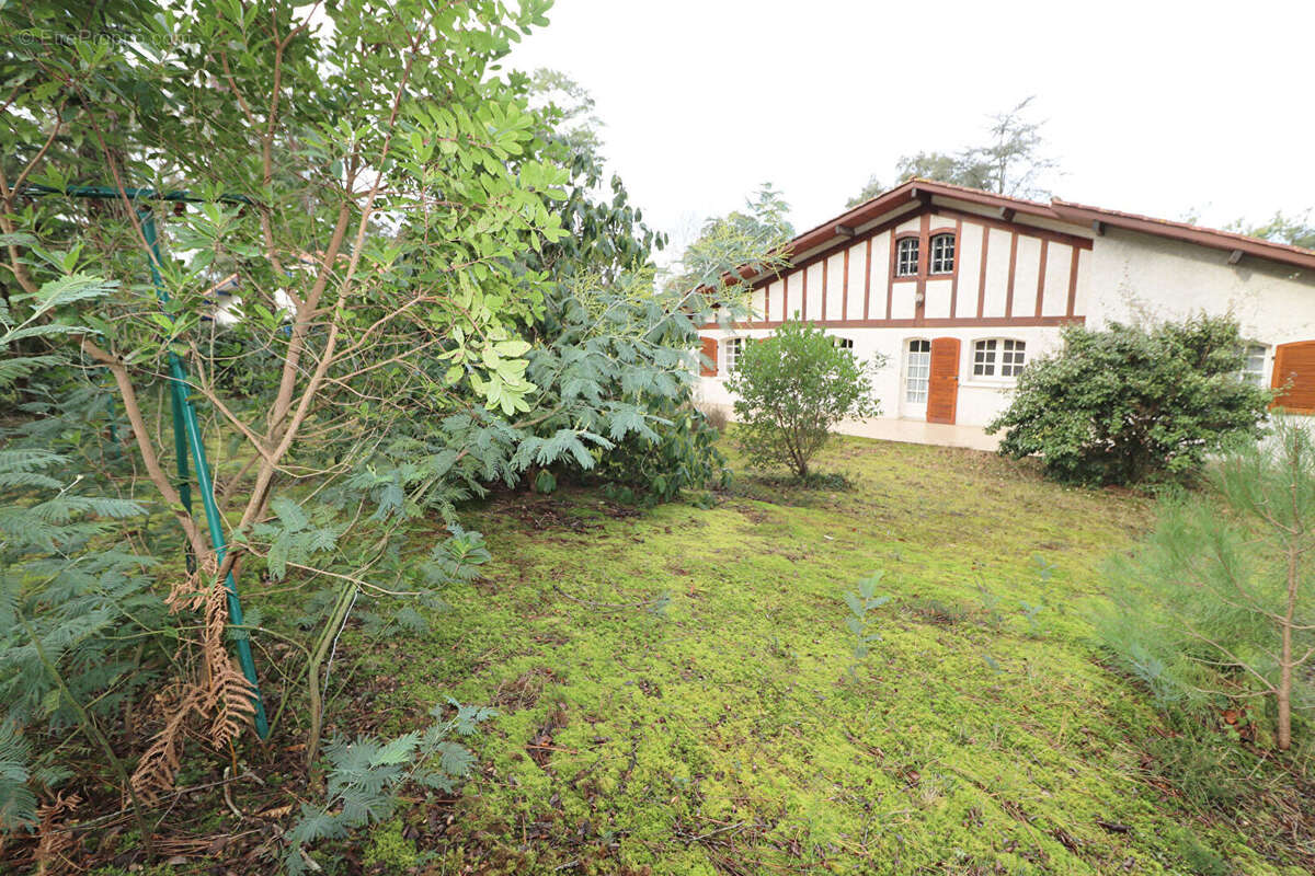 Maison à HOSSEGOR