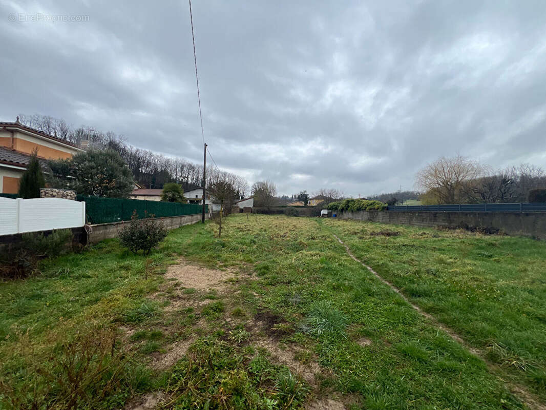 Maison à VILLIEU-LOYES-MOLLON