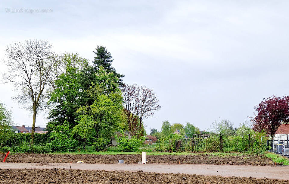 Terrain à BAILLEUL