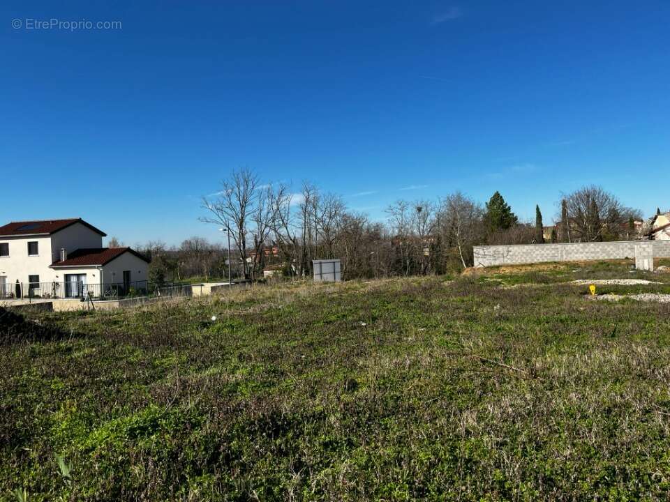 Terrain 558 m² à Solaize  - photo 3