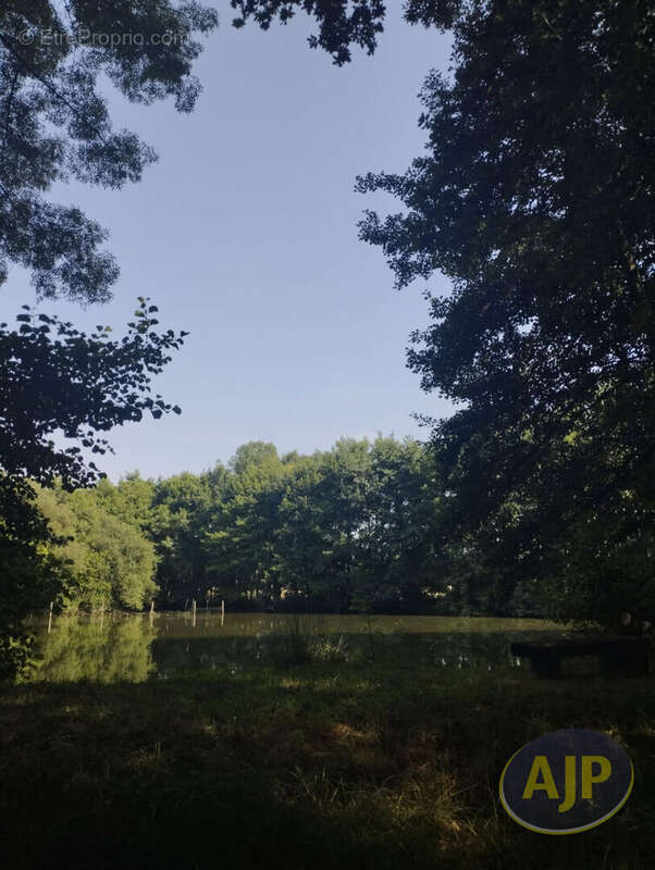 Terrain à SAINT-ANDRE-DE-LA-MARCHE