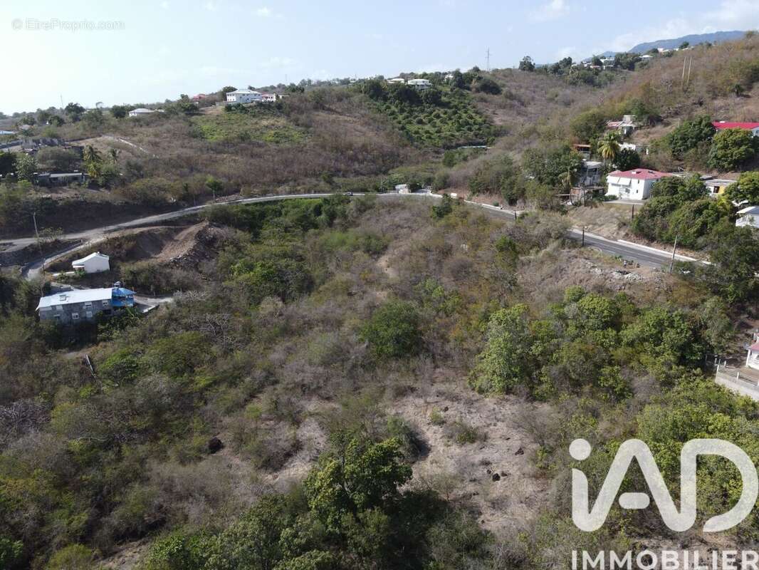 Photo 5 - Terrain à VIEUX-HABITANTS