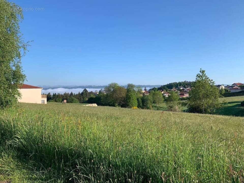Terrain à LA CHAPELLE-D&#039;AUREC