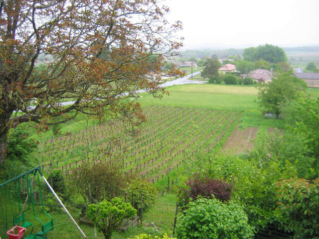 Maison à LES SALLES-DE-CASTILLON