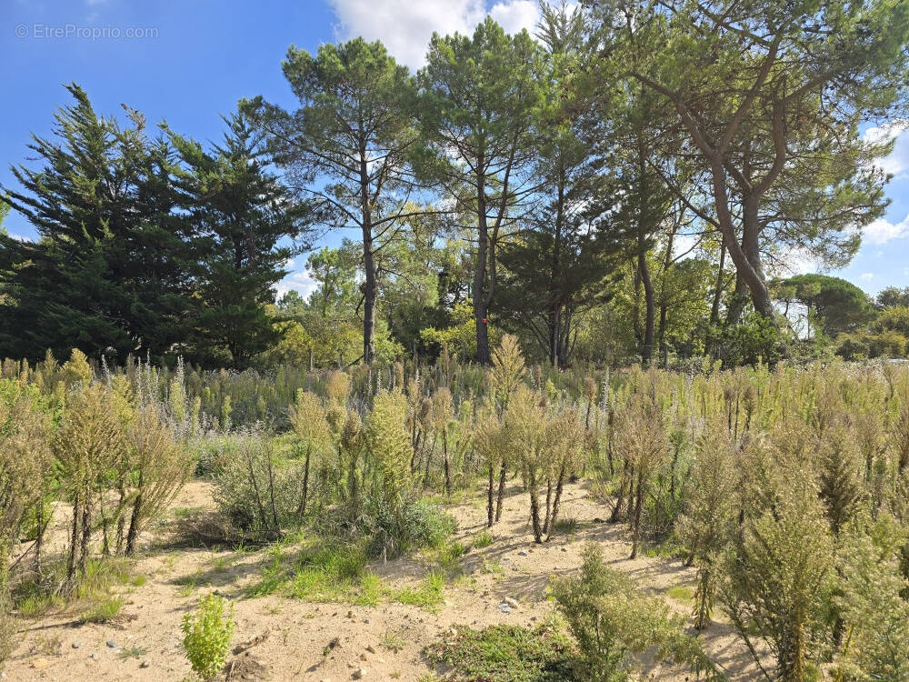 Terrain à SAINT-JEAN-DE-MONTS