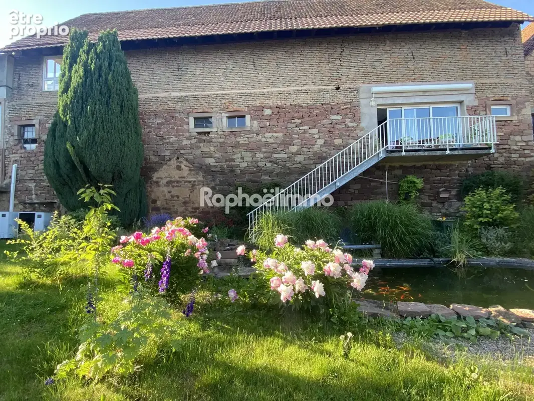 Maison 220 m² à Olwisheim  - photo 3