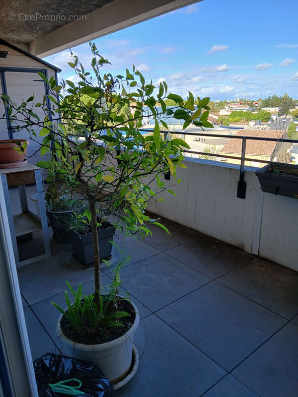Appartement à LATTES