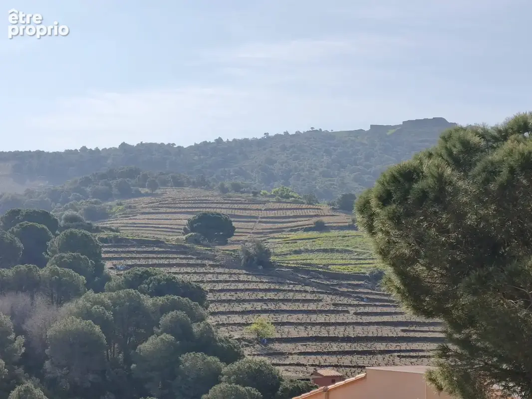 Maison 5 pièces 105 m² à vendre à Collioure (66190) - photo 3