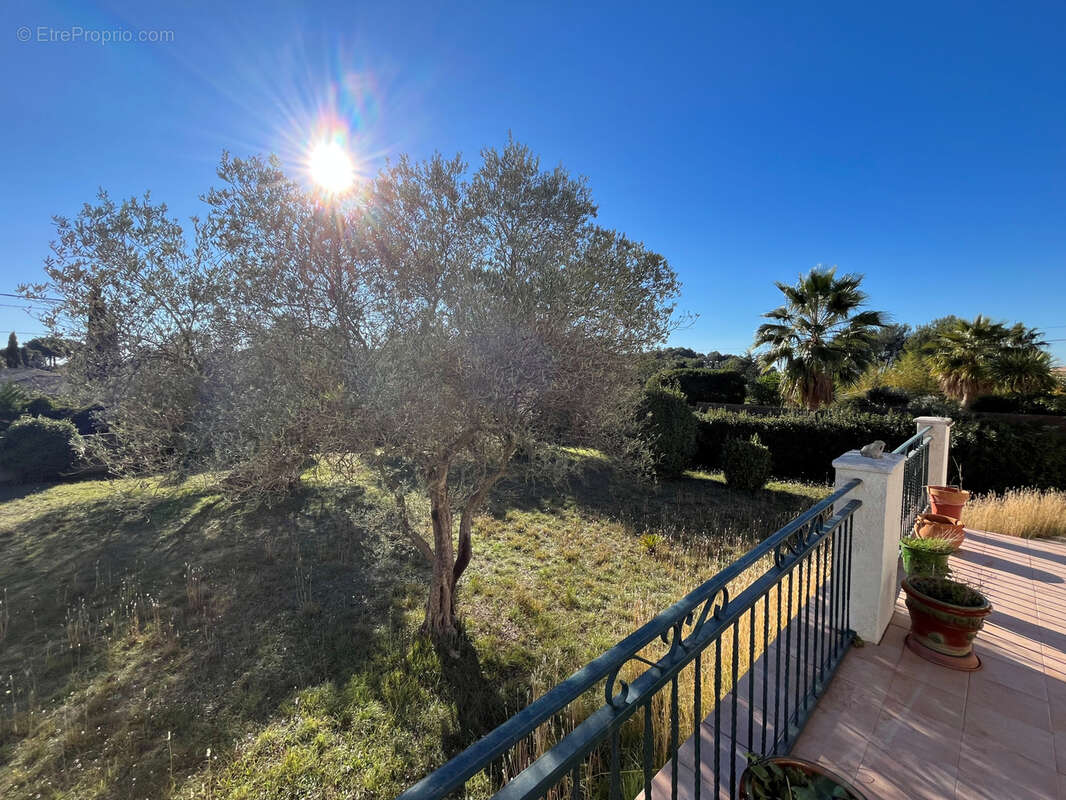 Maison à NAGES-ET-SOLORGUES