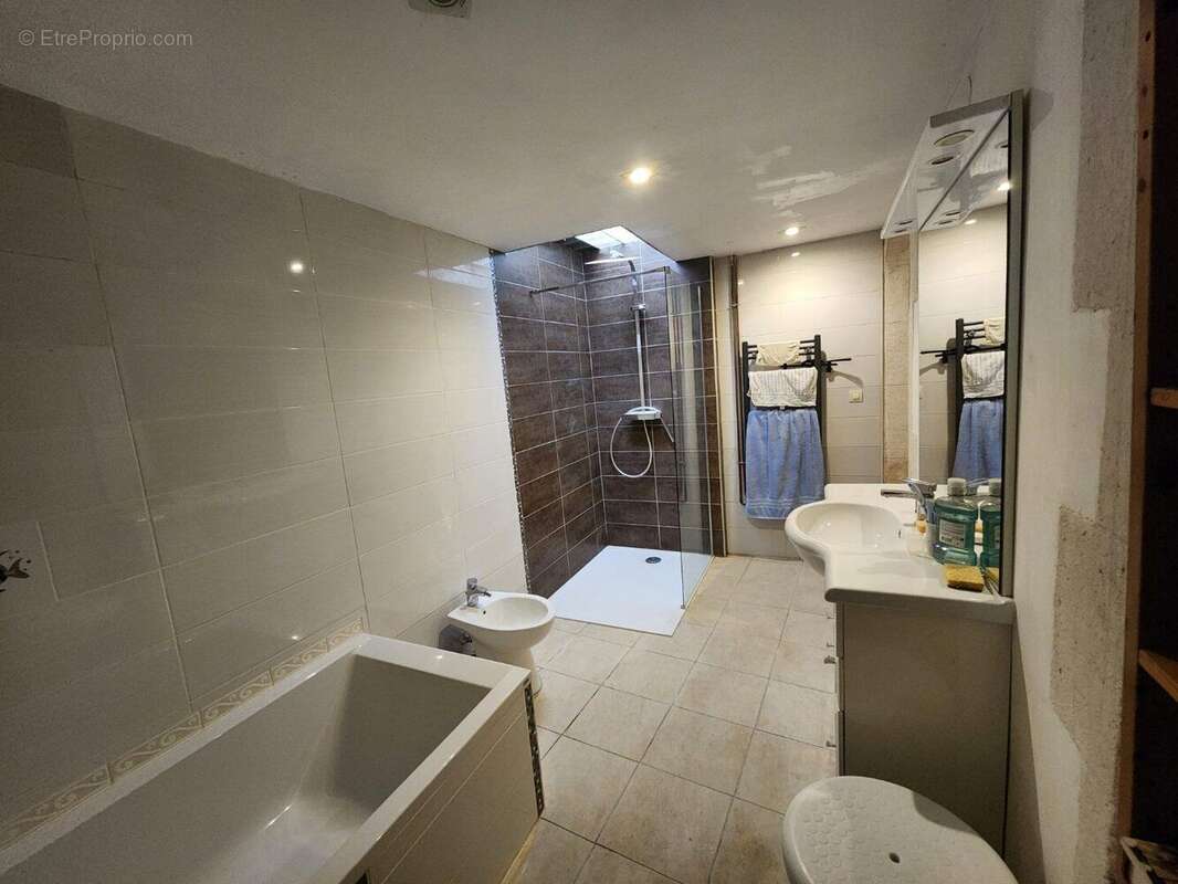 Confolens - Deux maisons avec caractre jardin prive - possible business/maison pour grand famille - photo 9