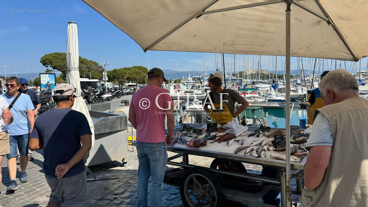 Appartement à ANTIBES