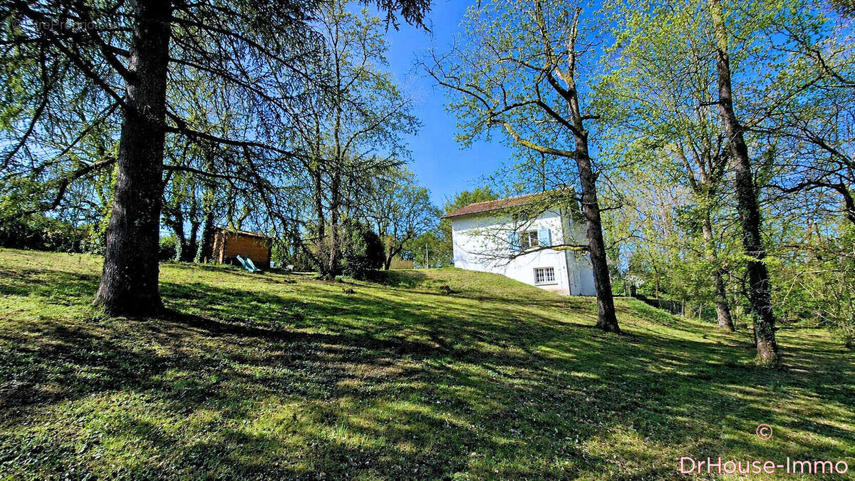 Maison 215 m² à Labastide-Saint-Pierre  - photo 8