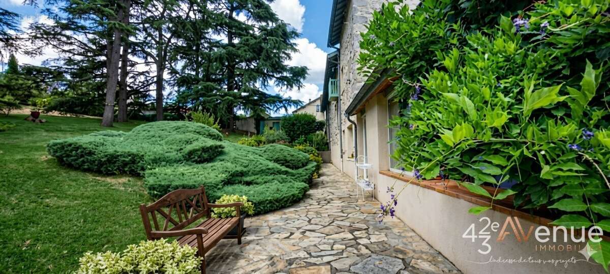 Maison 241 m² à Saint-Martin-La-Plaine  - photo 3