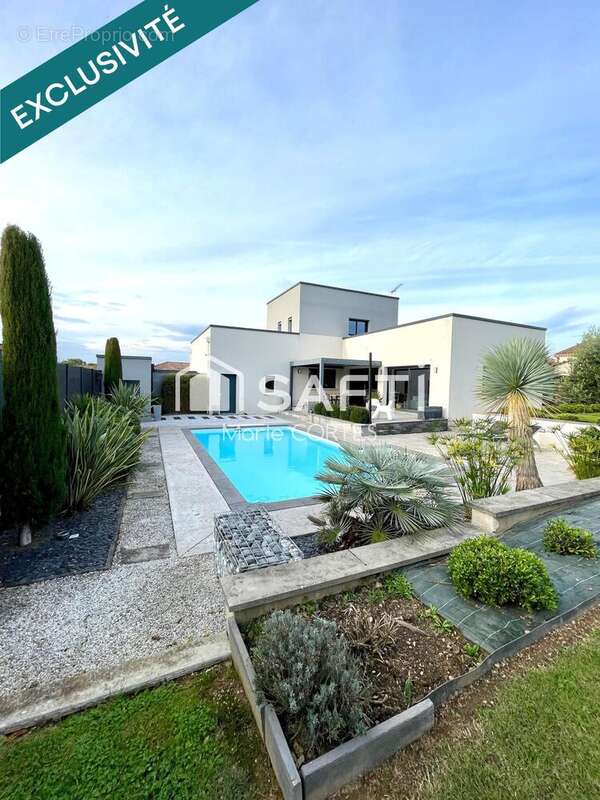 Photo 2 - Maison à ALBI