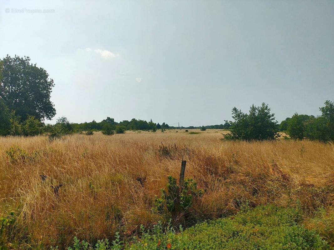 Terrain à SAINTE-EULALIE