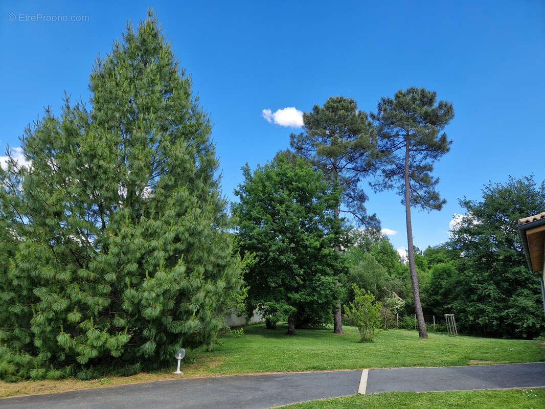 Proche Périgueux MAISON de PLAIN PIED 146 m2 avec 4 chambres / Grand garage / Grand terrain avec PISCINE. - photo 33