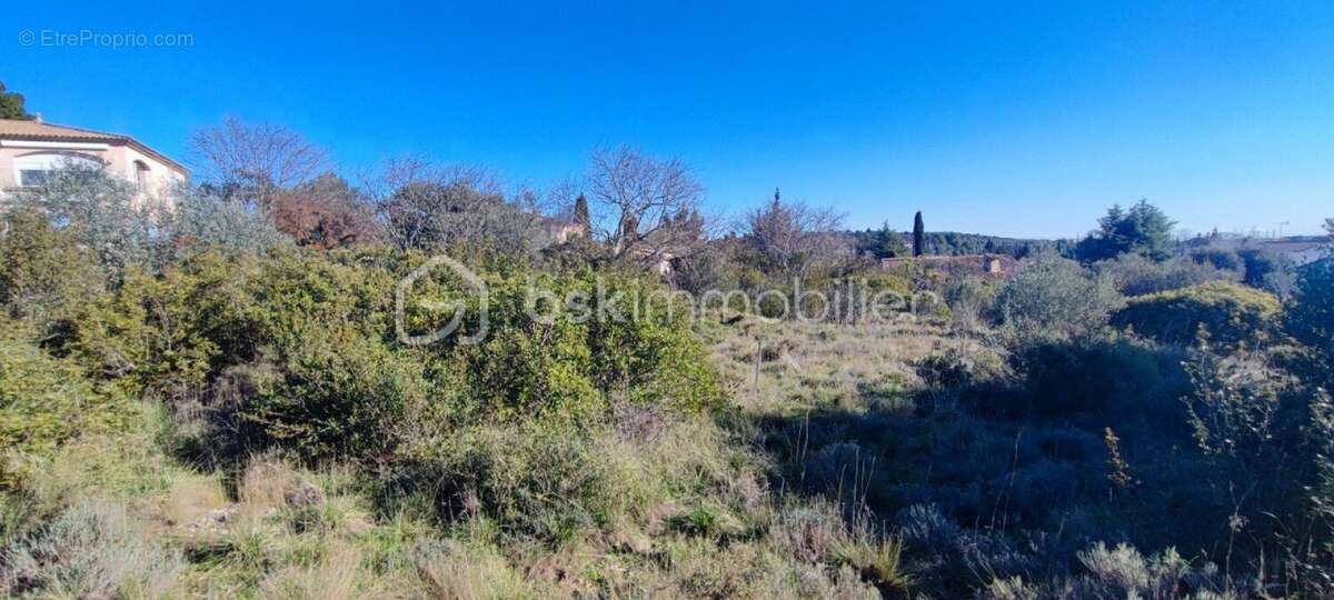 Terrain à COURNONTERRAL