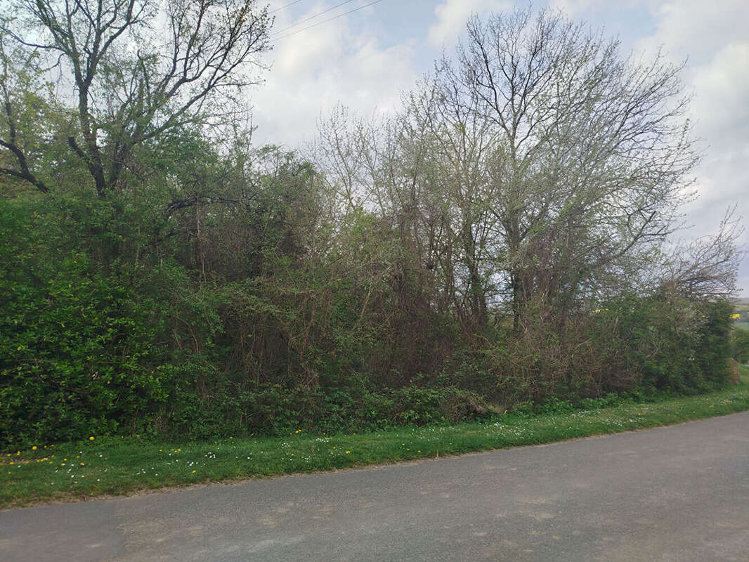 Terrain à GREEZ-SUR-ROC